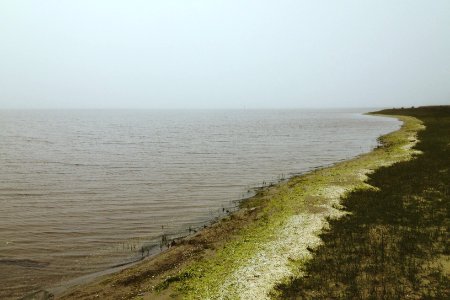 Laguna de rocha, Uruguay, Water photo