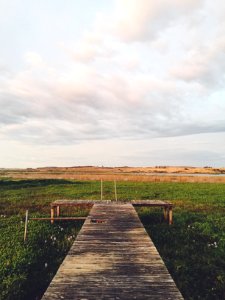 Uruguay, Free, Green