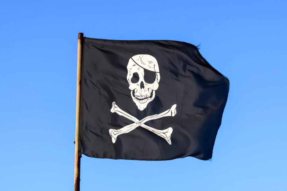 Piracy skeleton emblem