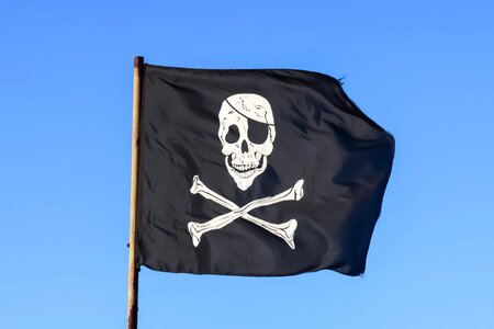 Piracy skeleton emblem