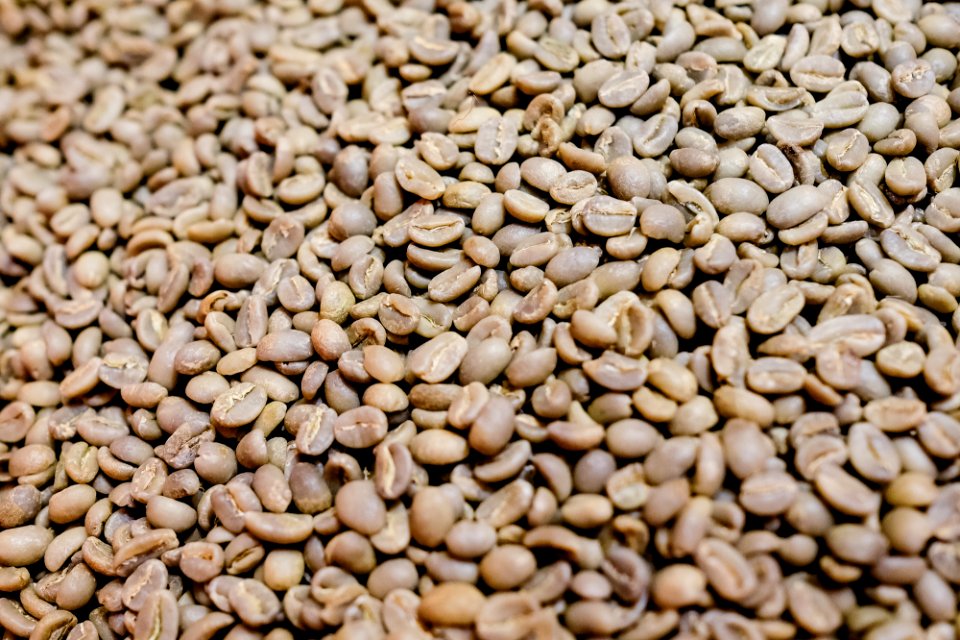 Ethiopia, Roaster, Roastery