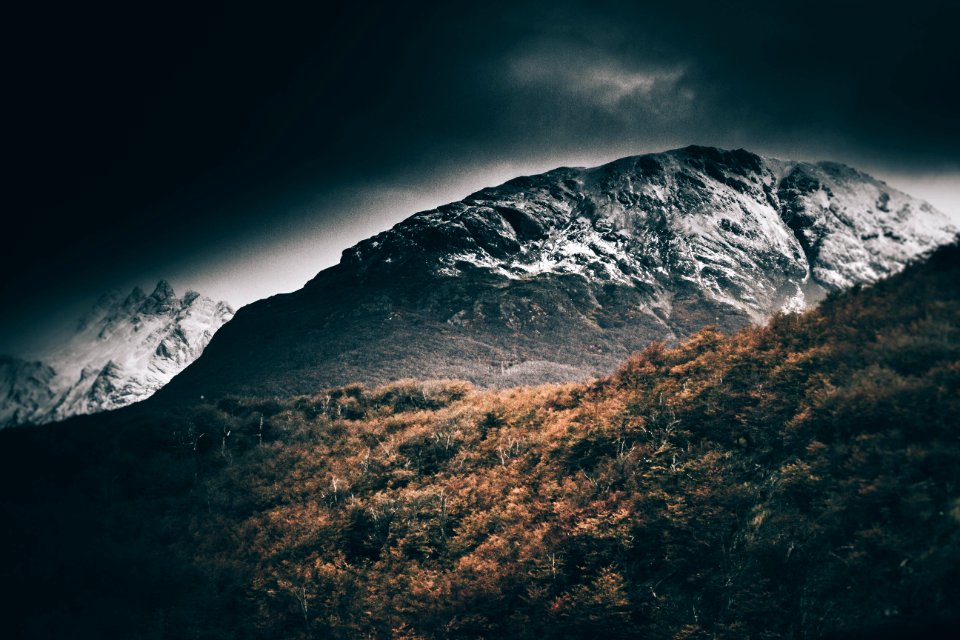 Argentina, Monte olivia, Scape