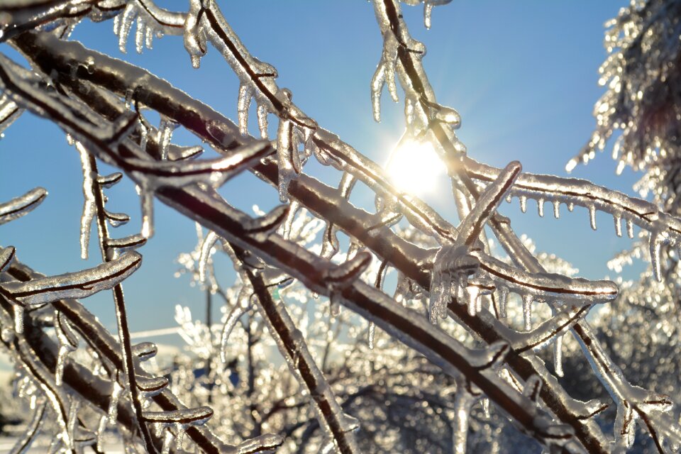 Ice canada snow
