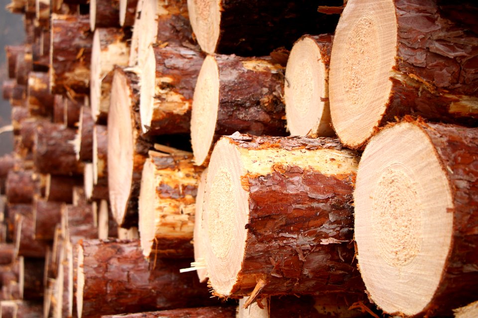 Cannon township, United states, Sawmill