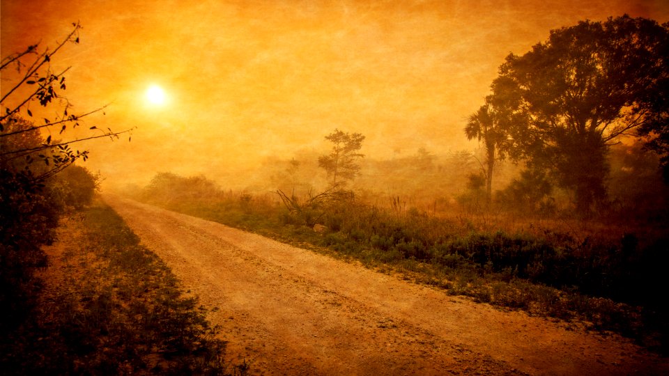 sepia photography of dirt road photo