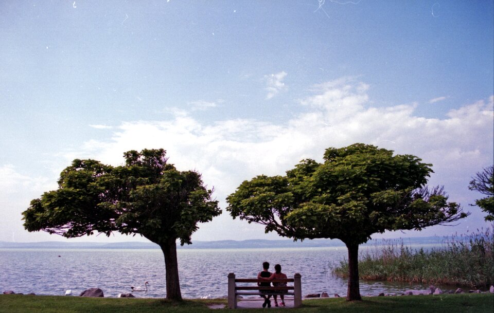 Trees love people photo