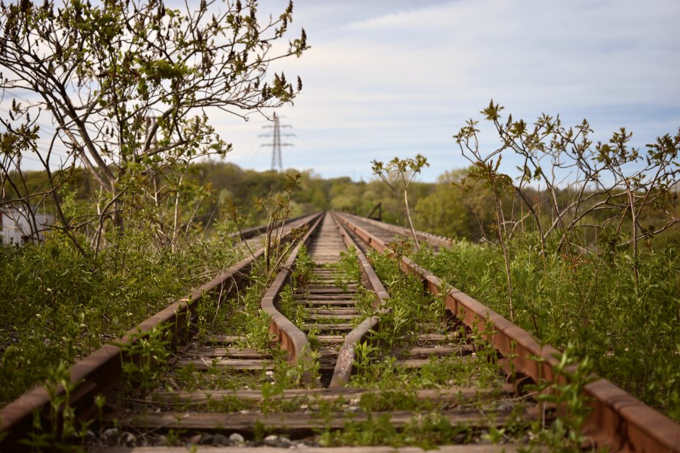 brown wooden train rail surrounded by green grass and trees during daytime photo