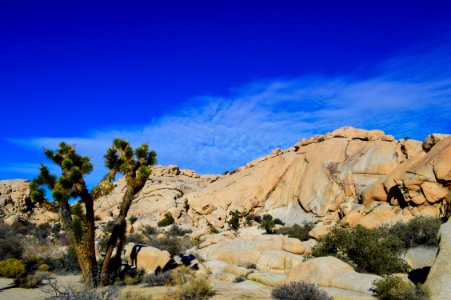 Joshua tree national park, United states, Blue photo