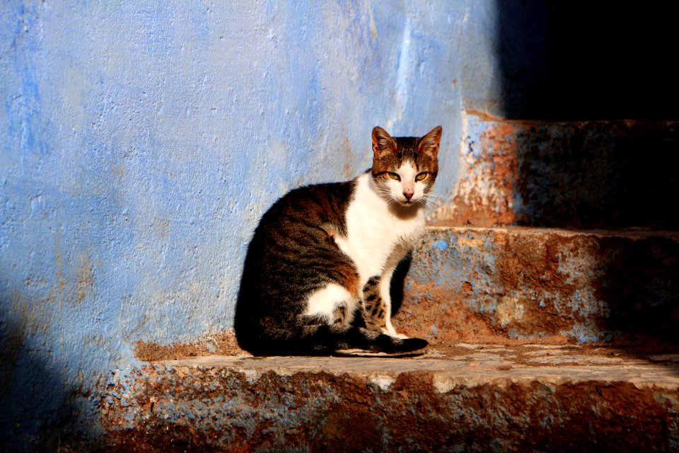 Chefchaouen, Morocco