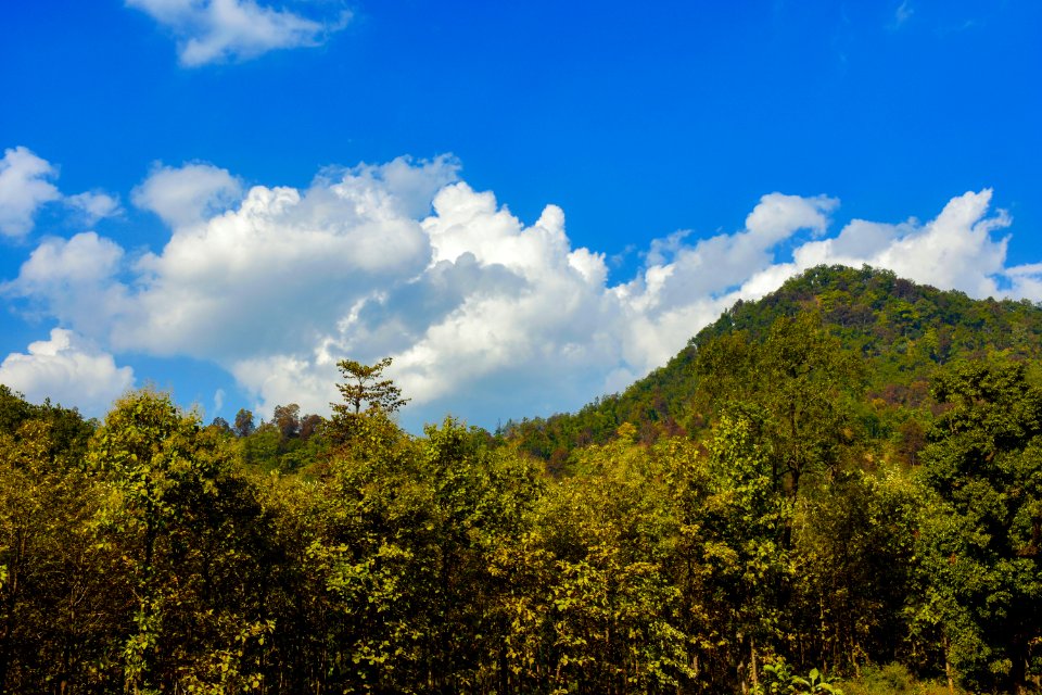Jim corbett national park, Ramnagar, India