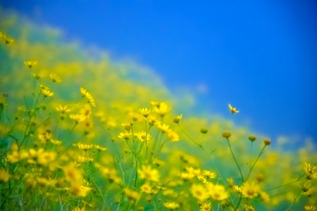 Lonavala, India, Nature