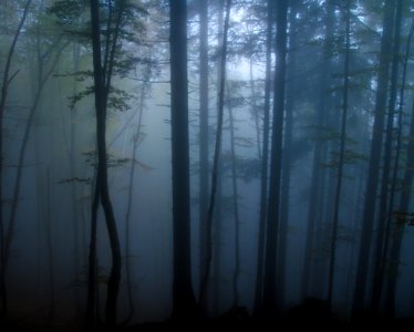 Kriska gora, Lom pod stor i em, Slovenia