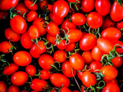 Murwillumbah, Australia, Tomatoes