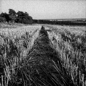 Agriculture harvest harvesting photo