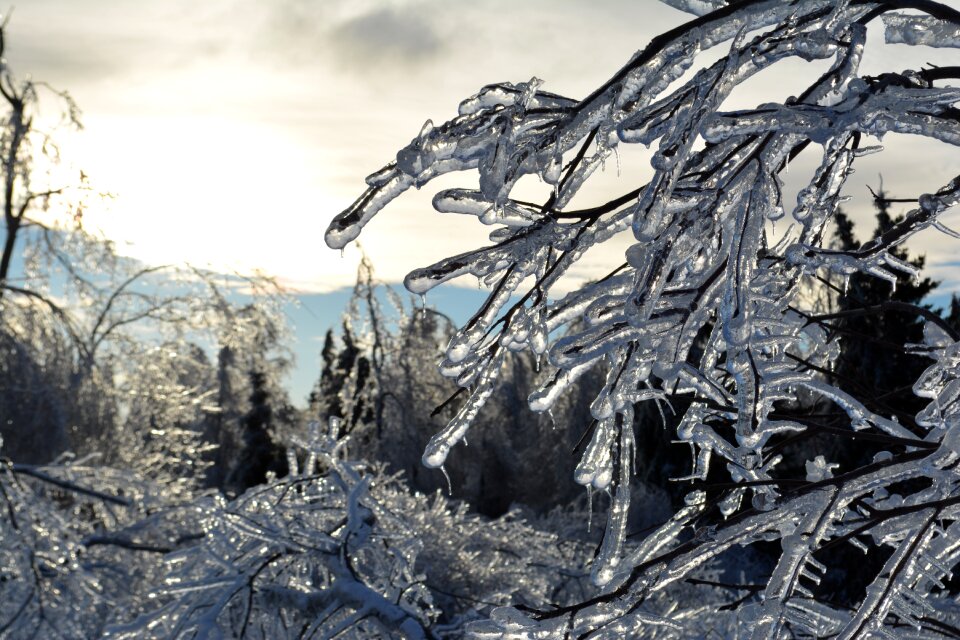 Winter landscape nature cold photo