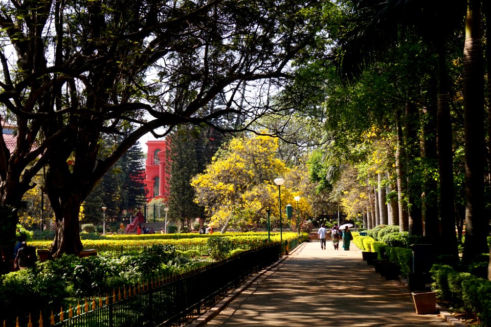 Cubbon park, India, Bengaluru