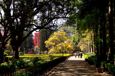 Cubbon park, India, Bengaluru photo