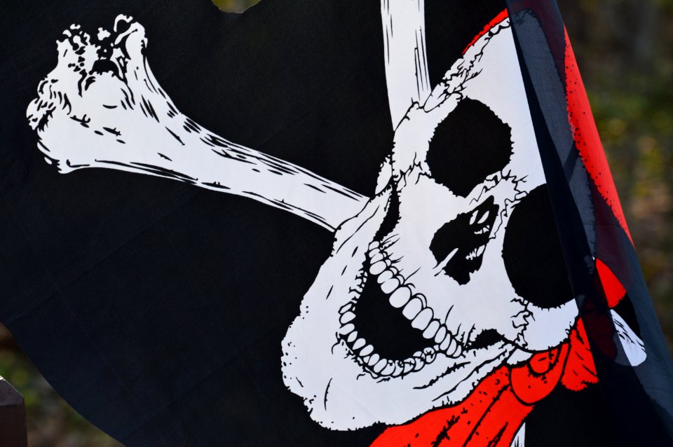 Skull, Shivelycreative, Flag photo