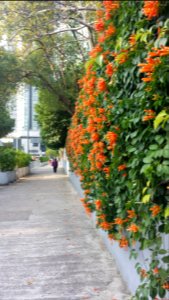Path, Wall, Spring