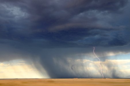 lightning struck on desert photo