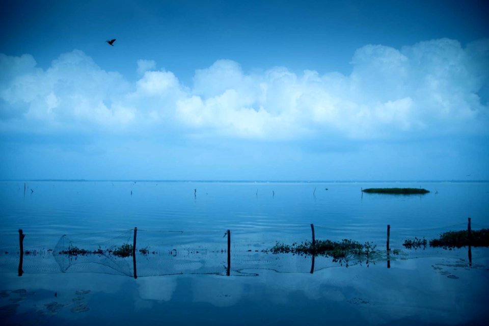 Kerala backwaters, Lake, Dusk