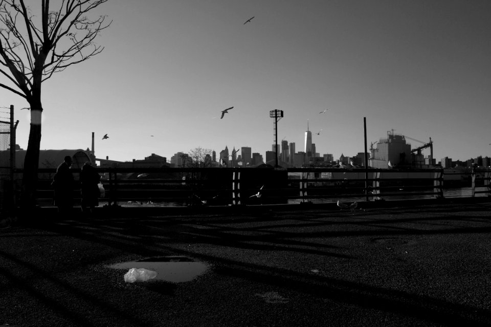 Black, Whitephotography, White