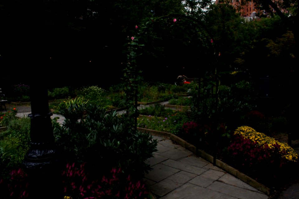 New york, Park, City