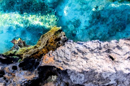 Turks, Caicos isl, Swim photo