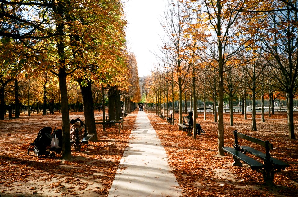 Paris, France, Leicamini2