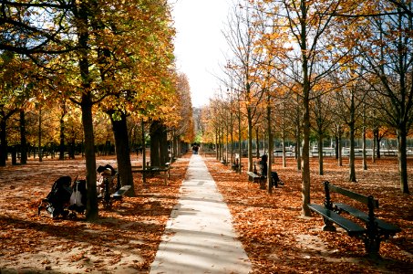 Paris, France, Leicamini2