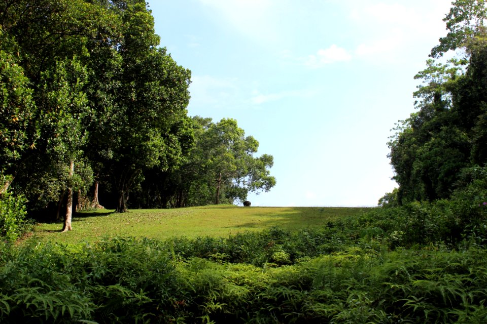 Lunuganga garden, Bentota, Sri lanka