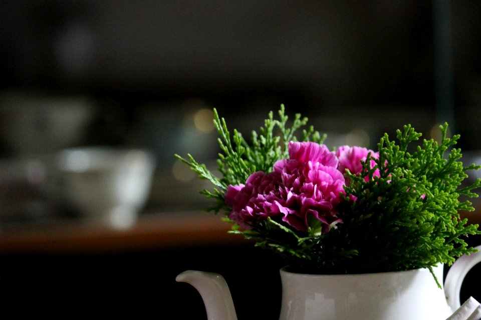 focus photo of purple petaled flowers