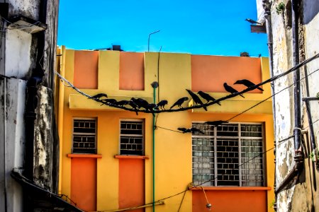 Sir mbarak hinawy road, Mombasa, Kenya