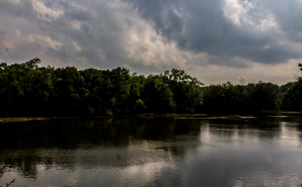 Sungei buloh wetl, Reserve, Singapore