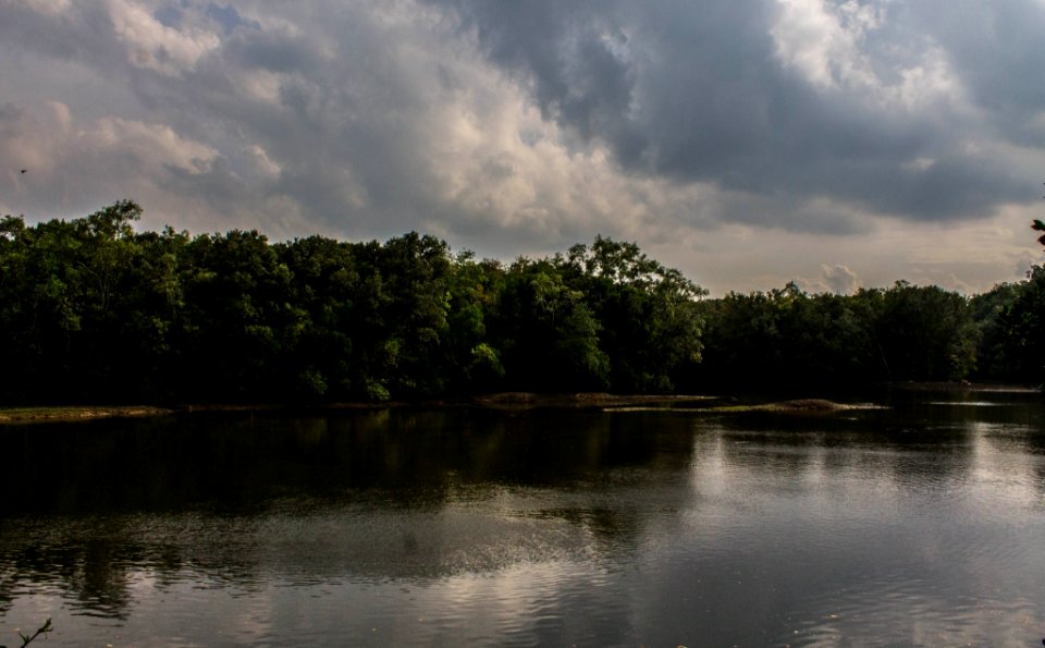 Sungei buloh wetl, Reserve, Singapore photo