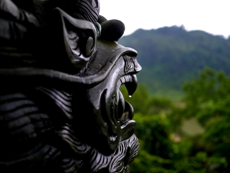Vietnam, Rain, Jungle