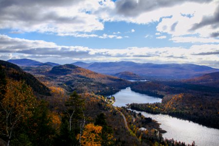 river in middle of forest photo