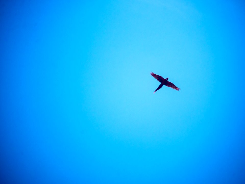 Drake bay, Costa rica, Sky