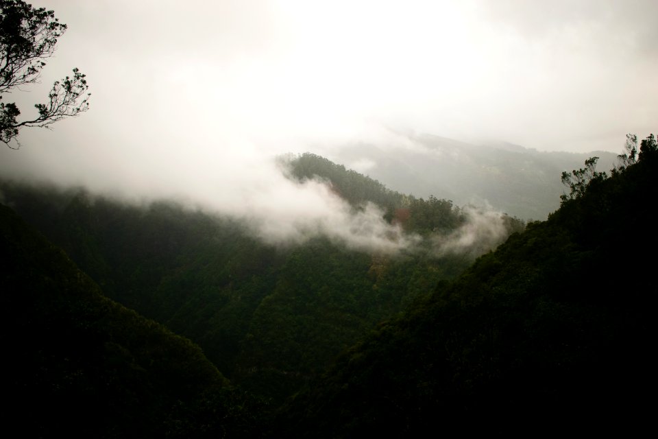 Madeira isl, Portugal, Mountain