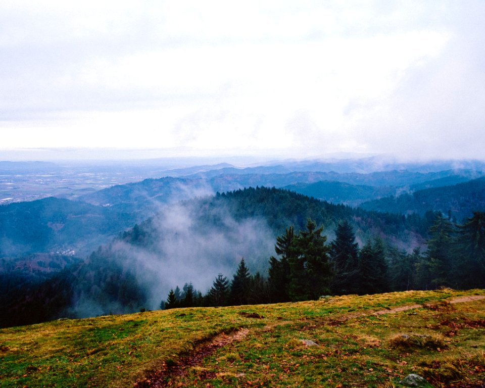 Germany, Schliengen, Blue