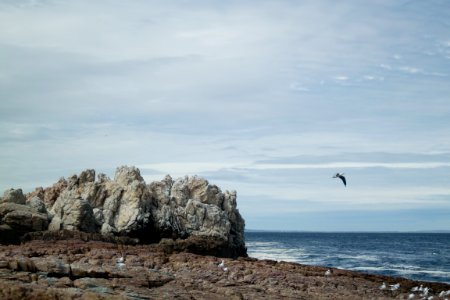 Hermanus, South africa, Seashore