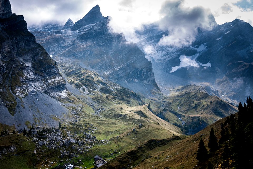 trees covered mountain photo