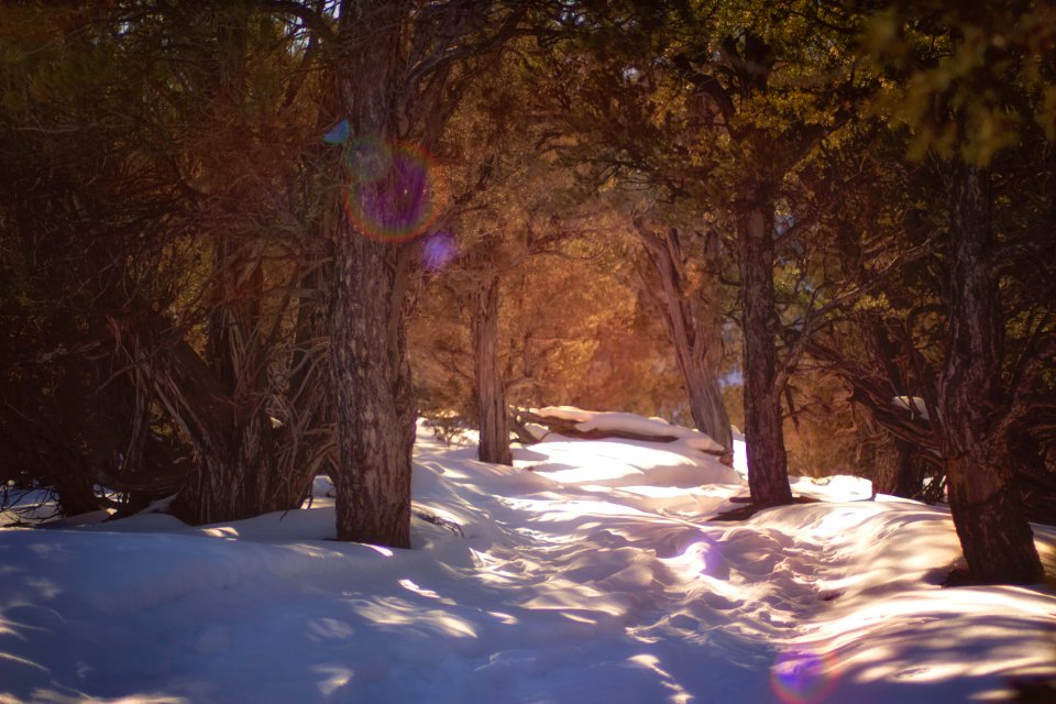 Sun, Winter, Snow