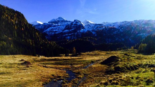green grass near mountain