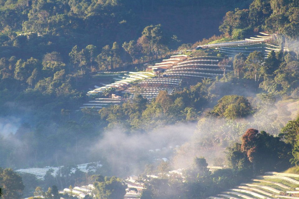 Doi inthanon, Ban luang, Thail