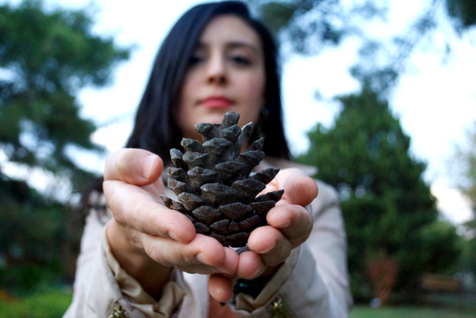 selective focus photography of woman holding brown pine cone