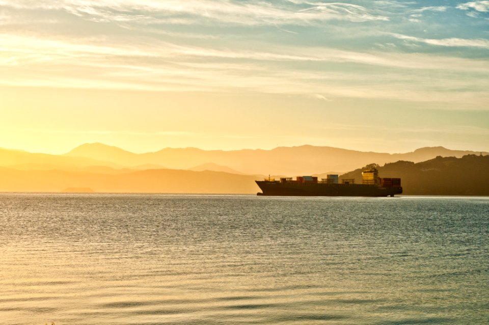 New zeal, Wellington, Ocean