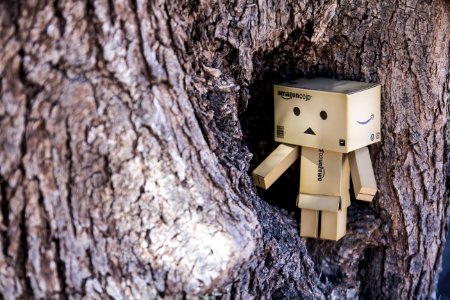 Hollow, Tree