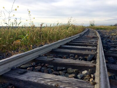 Train countryside crossing