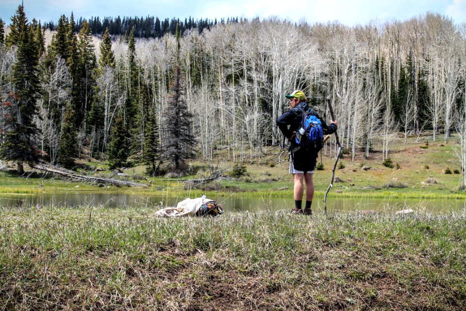 Wilderness, Hike, Man